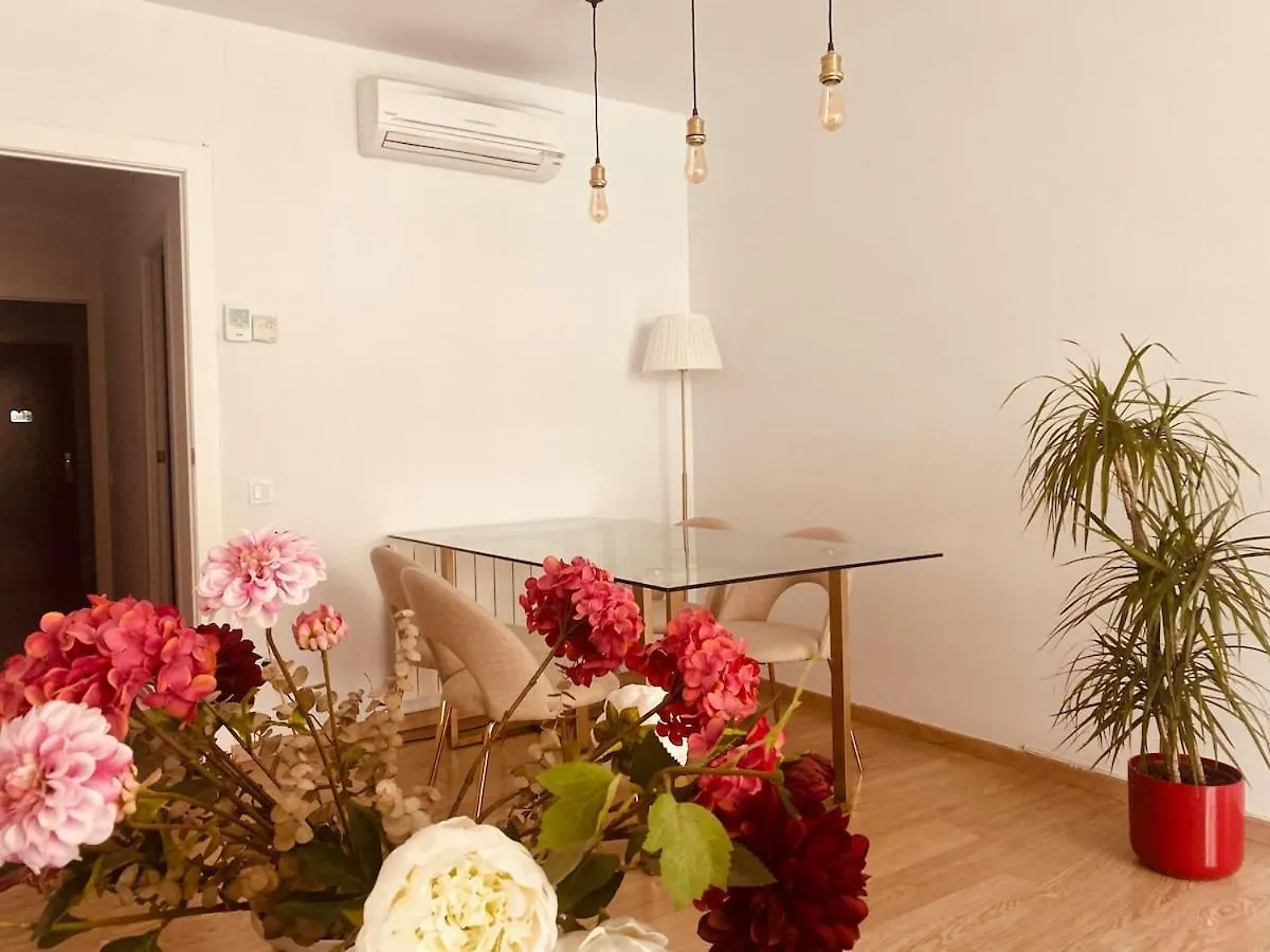 Fantastic 3 Bedrooms Apartment Barcelona